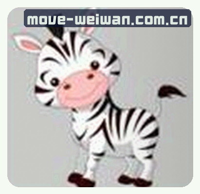赵宇